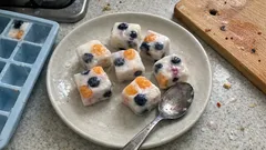 混ぜて凍らせるだけ。製氷皿で作るフルーツ入りキューブフローズンヨーグルト